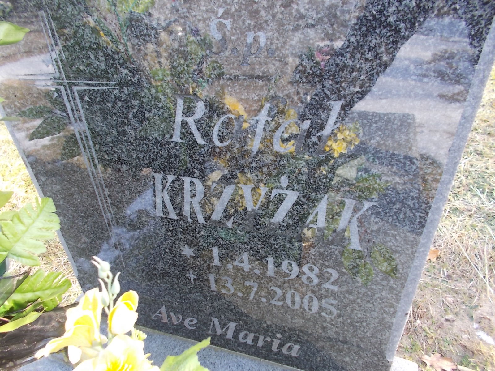 Rafał Krzyżak 1982 Człopa - Grobonet - Wyszukiwarka osób pochowanych