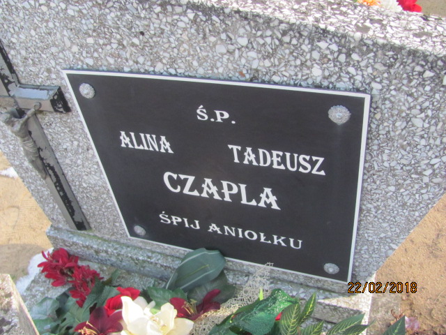 Tadeusz Czapla Człopa - Grobonet - Wyszukiwarka osób pochowanych